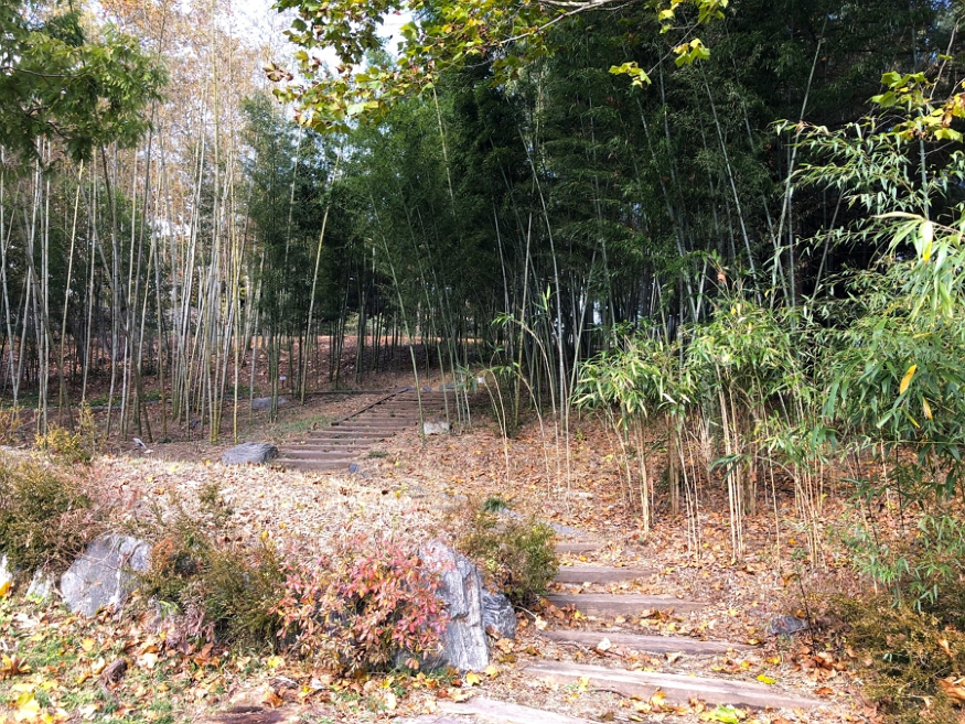 세상사는 이야기.JPG